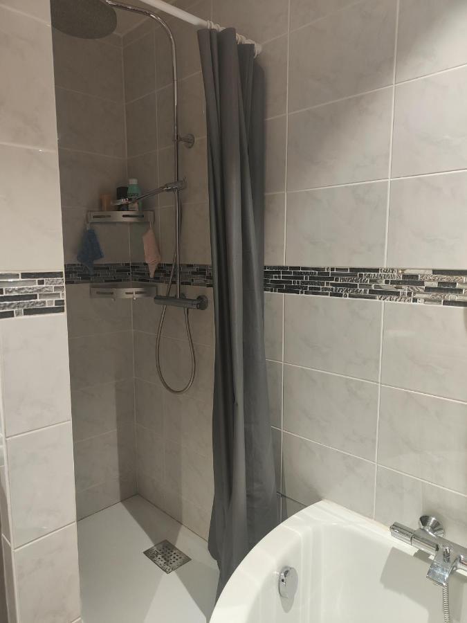 Tres Grand Appartement De 76M2 A Strasbourg Exterior foto