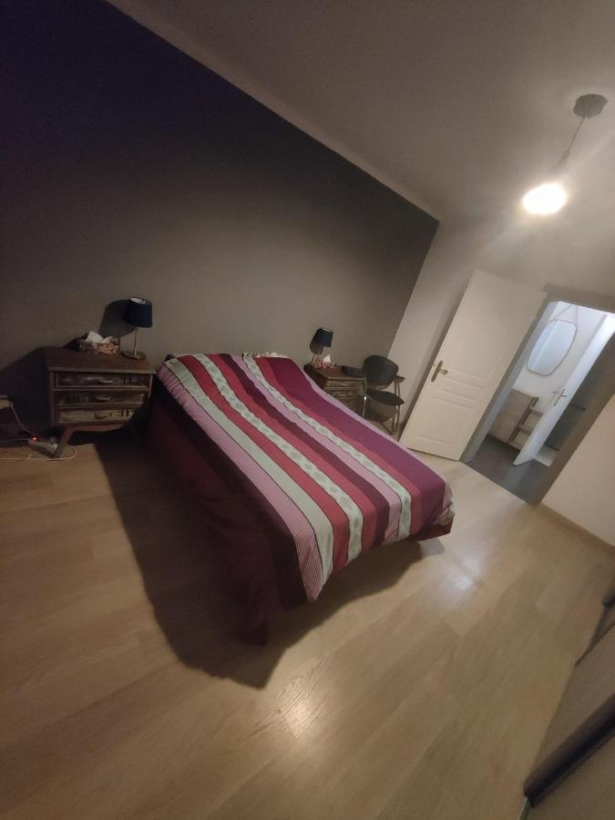 Tres Grand Appartement De 76M2 A Strasbourg Exterior foto