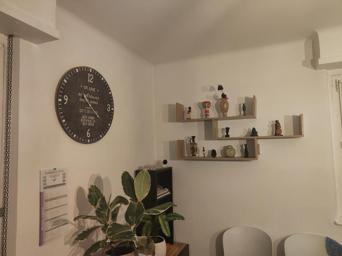 Tres Grand Appartement De 76M2 A Strasbourg Exterior foto